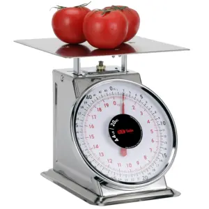 Tada Heavy Duty Stainless Steel Mechanical Scale (44lb)