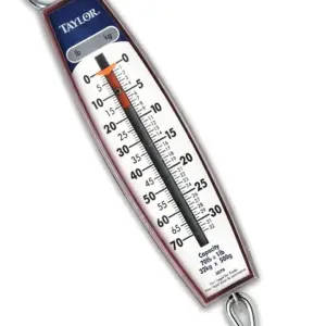 Taylor Precision Hanging Scale (70-Pound)